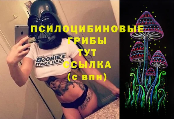 2c-b Аркадак