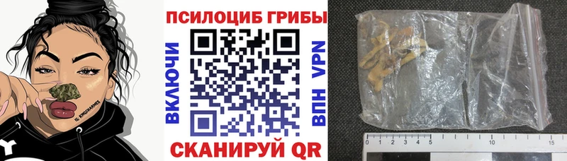 Купить где  Сухой Лог  Галлюциногенные грибы мухоморы 